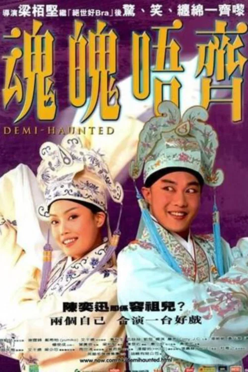Movie poster for Demi-Haunted (2002)
