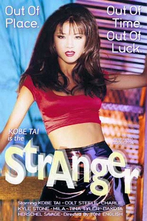 Movie poster for Stranger (2003)