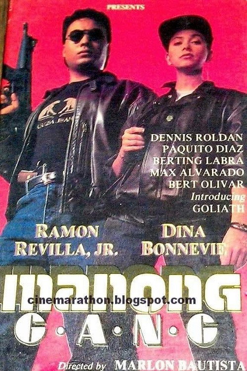 Movie poster for Manong Gang (1991)