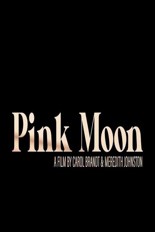 Movie poster for Pink Moon
