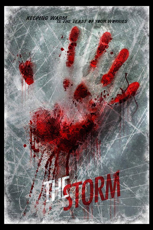 Movie poster for The Storm (2013)
