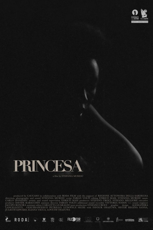 Movie poster for Princesa (2021)