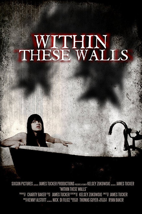 Movie poster for Within These Walls (2015)