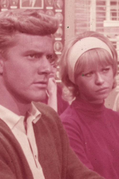Movie poster for Without Onion (1966)
