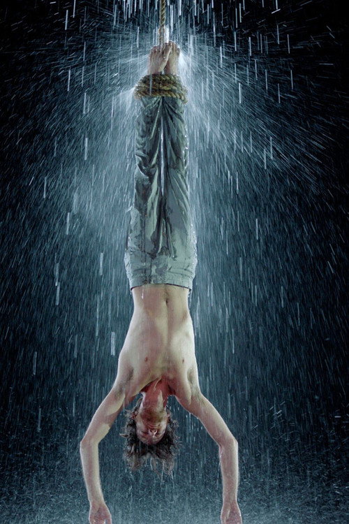 Movie poster for Martyrs: Water (2014)