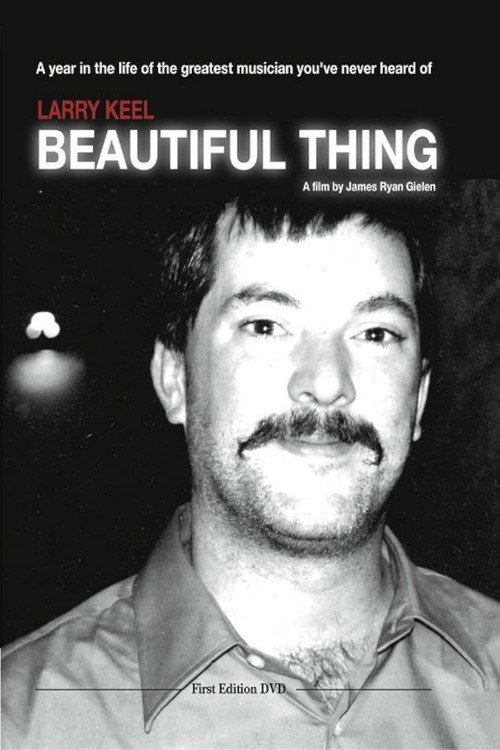 Movie poster for Larry Keel: Beautiful Thing (2004)