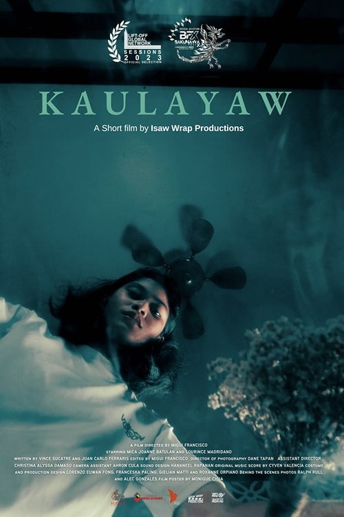 Movie poster for The Companion