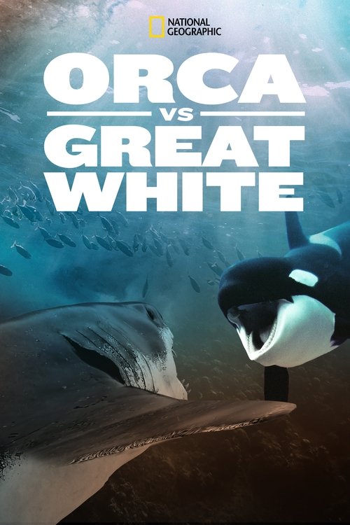 Movie poster for Orca Vs. Great White (2021)