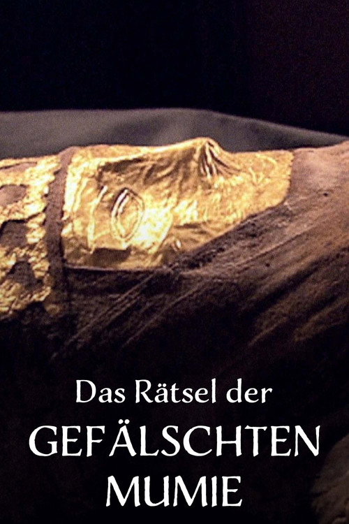 Movie poster for Das Rätsel der Gefälschten Mumie (2014)