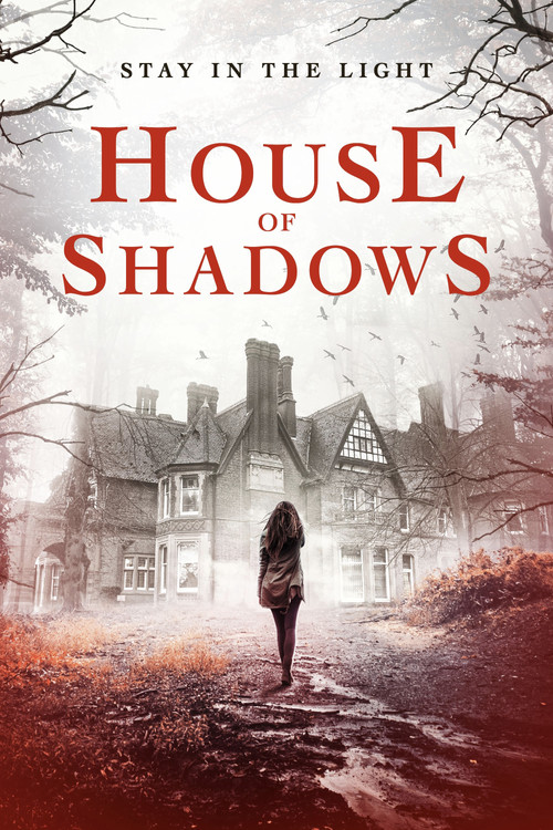 Movie poster for House of Shadows (2020)