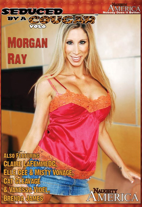 Movie poster for Seduced by a Cougar 6 (2008)