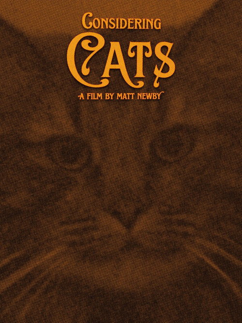 Movie poster for Considering Cats