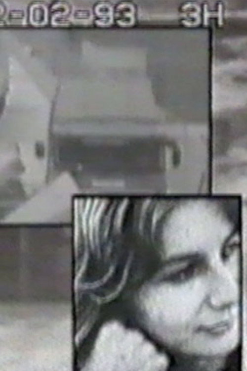 Movie poster for Surveillance (1993)