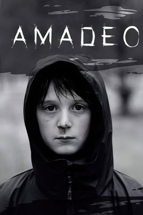 Movie poster for Amadeo (2019)