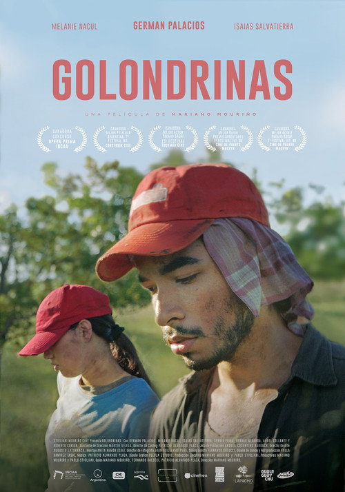 Movie poster for Golondrinas (2020)