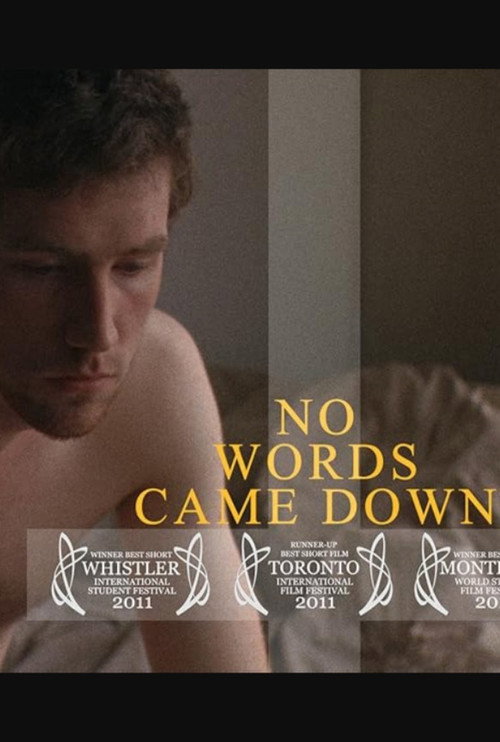Movie poster for No Words Came Down (2011)