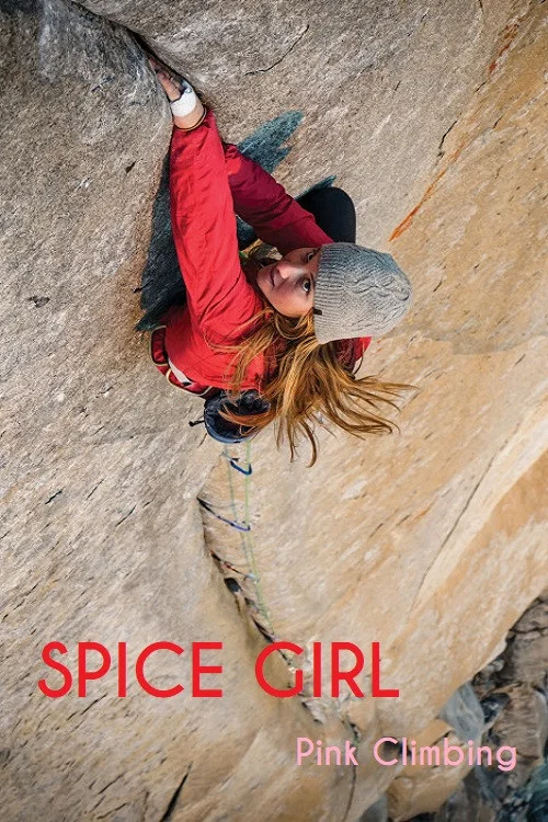 Movie poster for Spice Girl (2013)