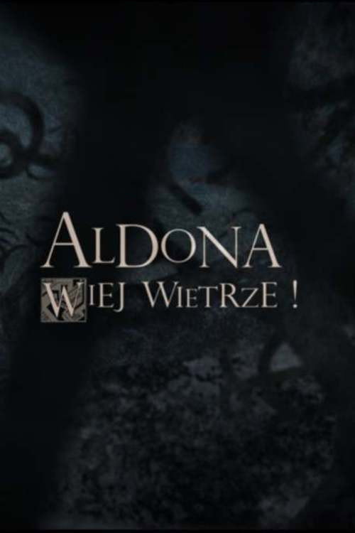 Movie poster for Wiej Wietrze! (2010)
