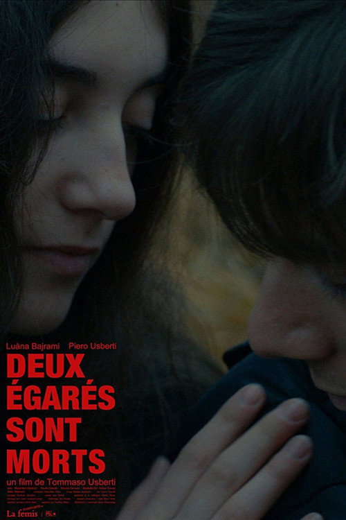 Movie poster for Two Youths Died (2017)