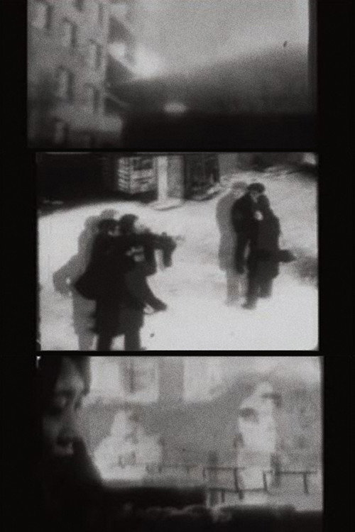 Movie poster for Serene Observation (2012)
