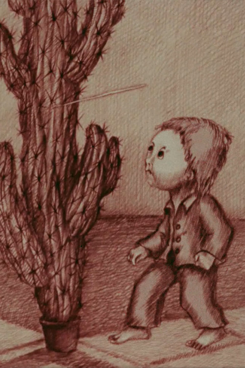 Movie poster for The Mystery of the Cactus (1989)