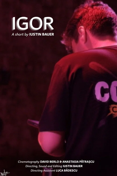 Movie poster for IGOR (Sound: The Invisible Crew)