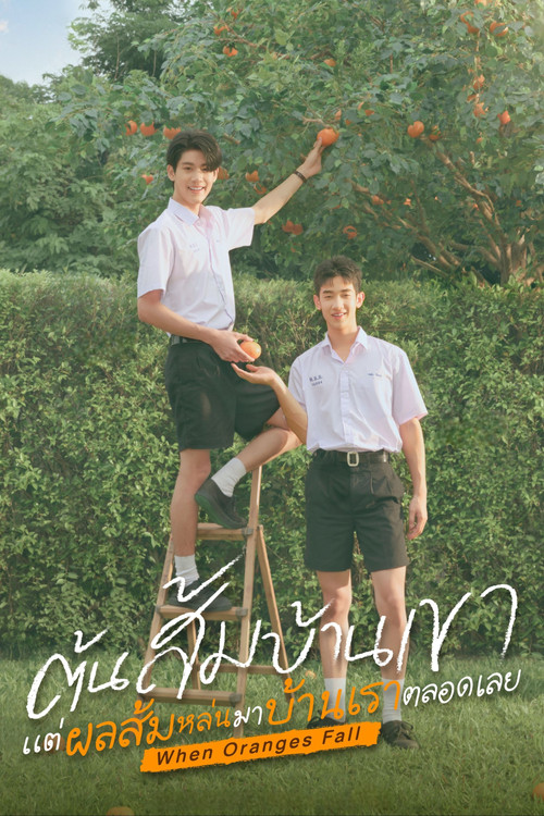 When Oranges Fall poster