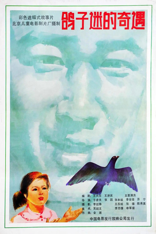 Movie poster for 鸽子迷的奇遇 (1987)
