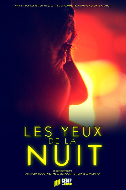 Movie poster for Les yeux de la nuit (2024)