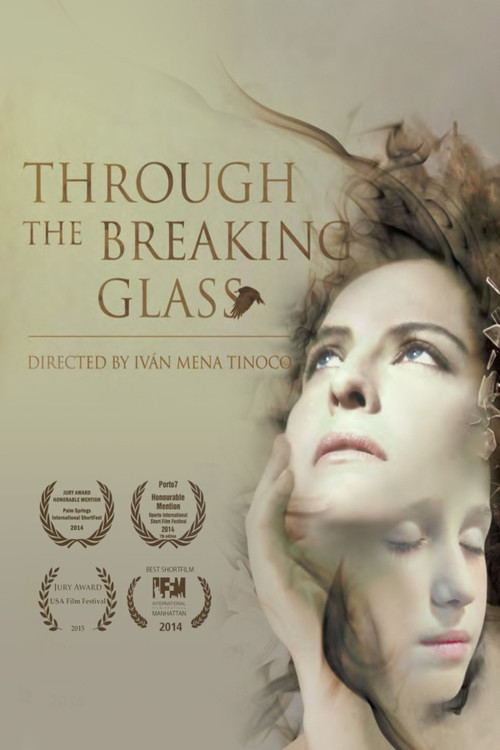Movie poster for Through the Breaking Glass (2014)
