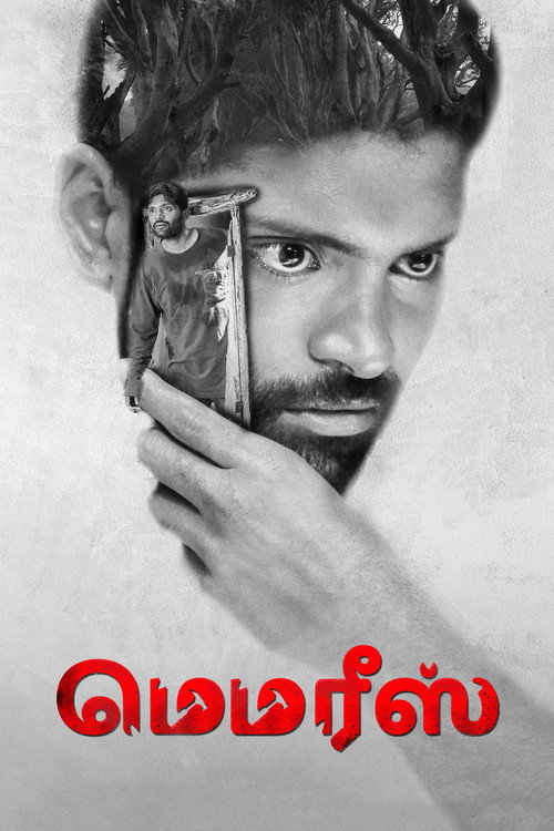 Movie poster for Memories (2023)