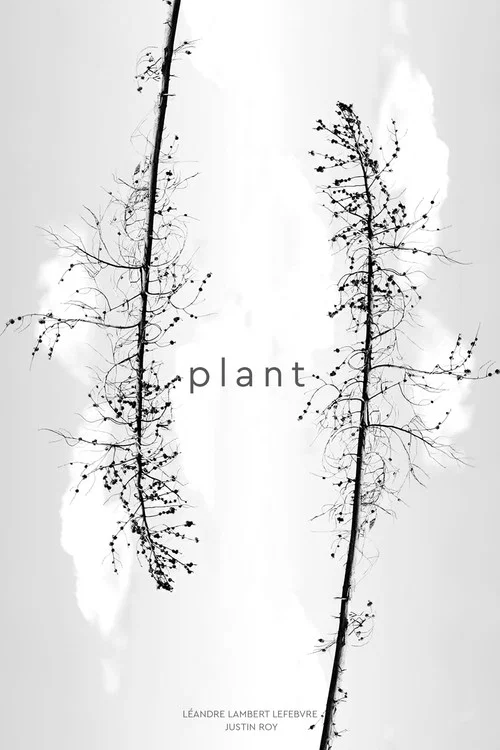 Movie poster for Plant (2023)
