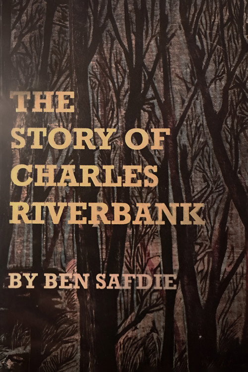 Movie poster for The Story of Charles Riverbank (2008)