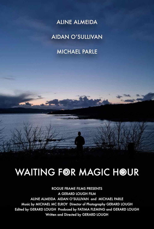 Movie poster for Waiting for Magic Hour (2024)