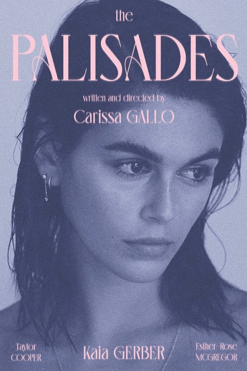 Movie poster for The Palisades (2022)