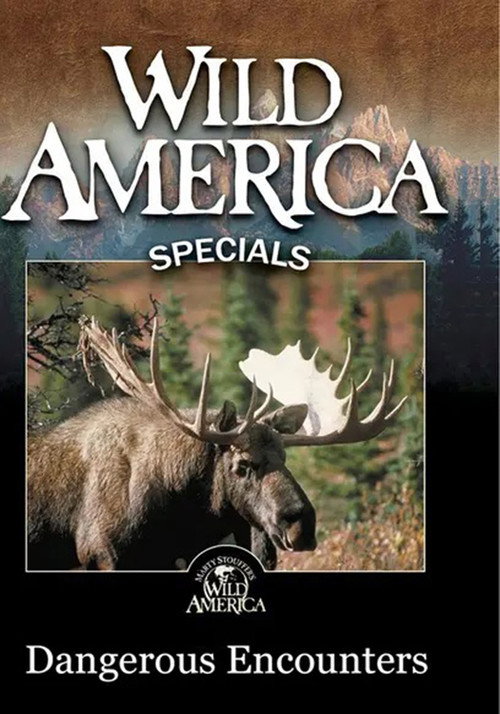 Movie poster for Wild America - Dangerous Encounters (2000)