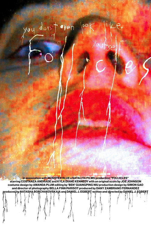 Movie poster for FOLLICLES