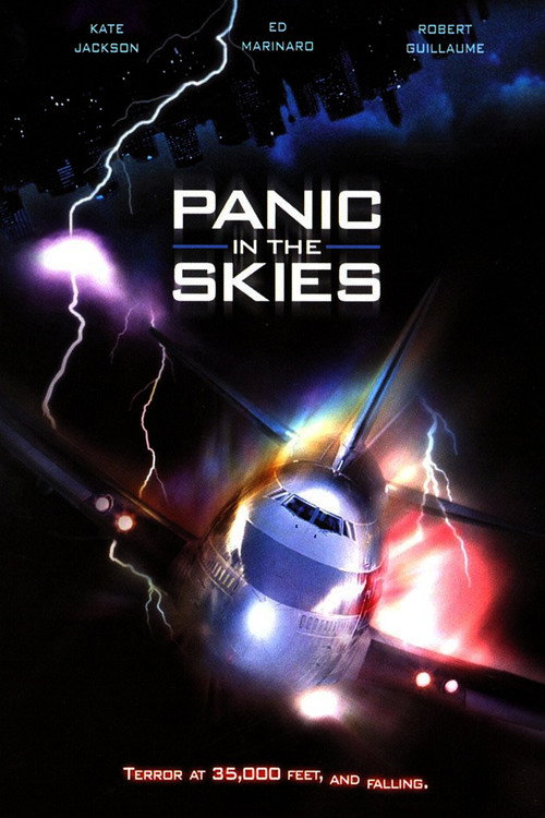 Movie poster for Panic in the Skies! (1996)