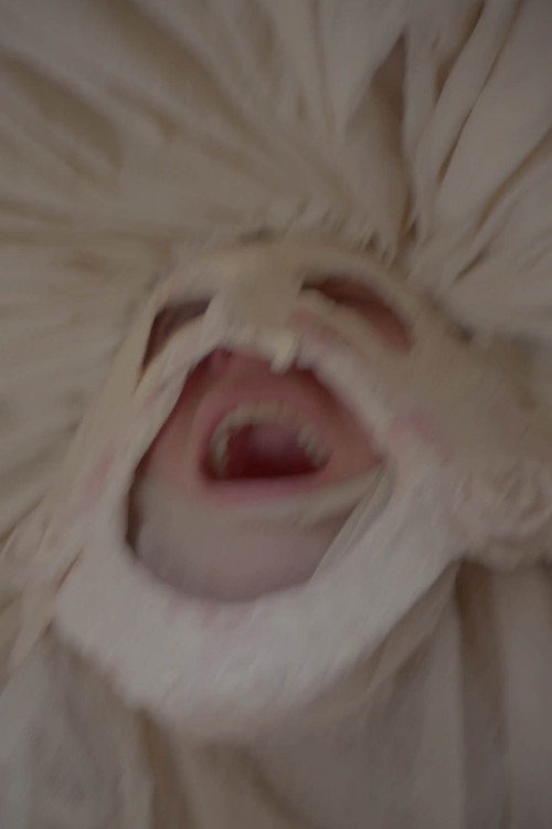 Movie poster for Le Roman de Remort, ou les fabliaux inhumains & vilains de l'Ultime Carnaval (2023)