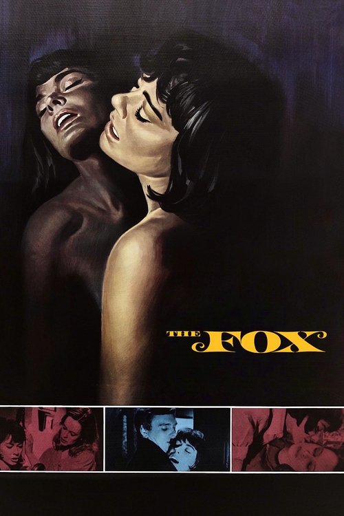 Movie poster for The Fox (1967)