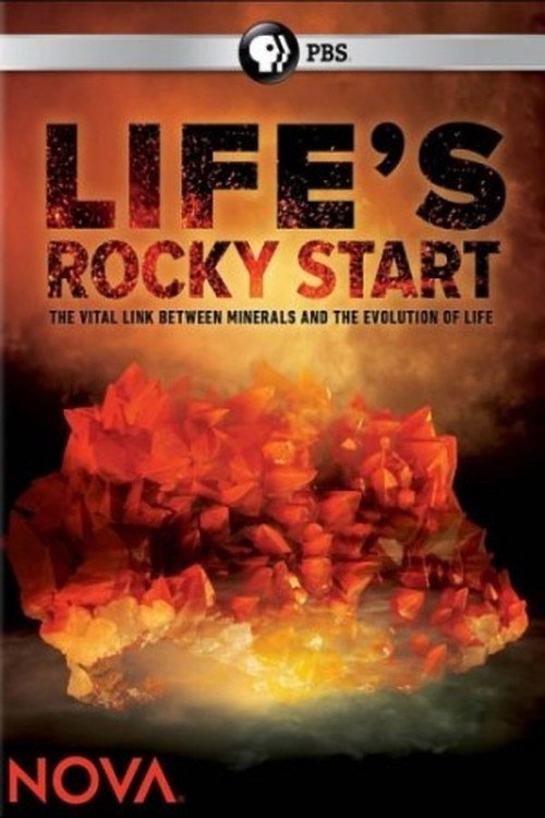 Movie poster for NOVA: Life's Rocky Start (2016)