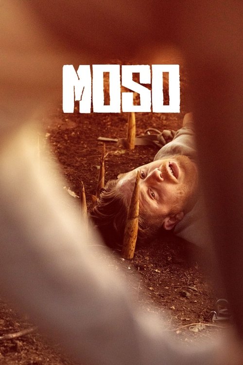 Movie poster for Bamboo Revenge (2025)