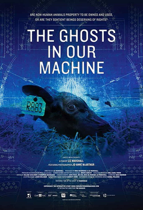 Movie poster for The Ghosts in Our Machine (2013)