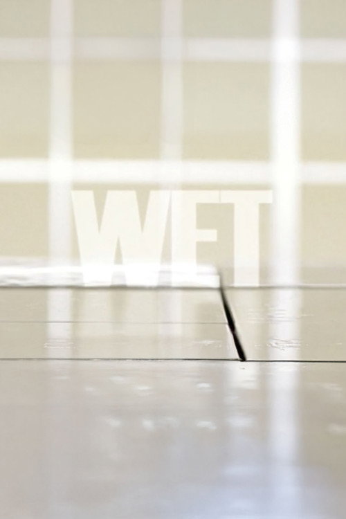 Movie poster for Wet (2010)