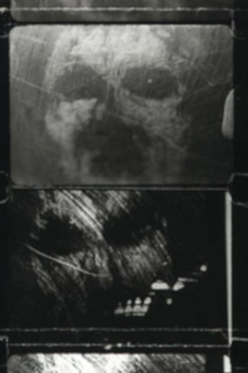Movie poster for Face Caught in the Dark (1995)