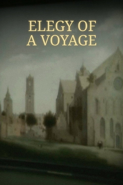 Movie poster for Elegy of a Voyage (2009)