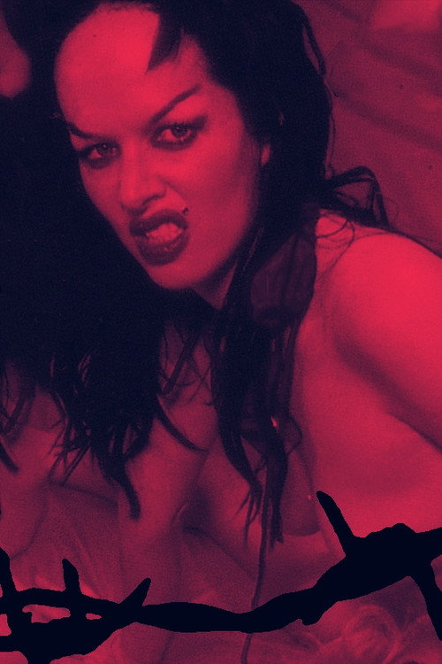 Movie poster for P.L.O.W.: Punk Ladies Of Wrestling (1996)