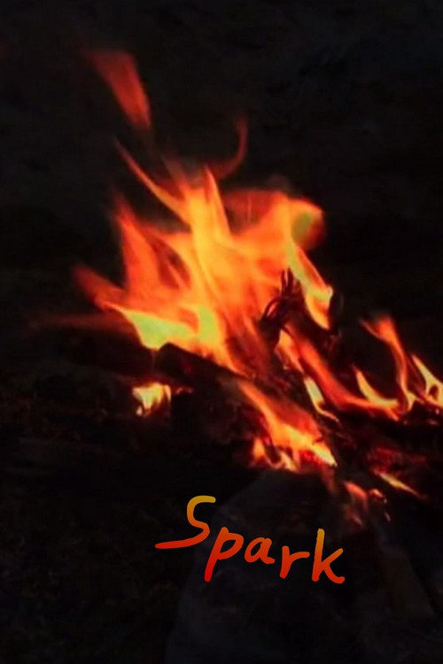 Movie poster for Spark (2013)