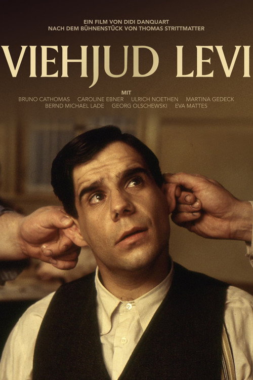 Movie poster for Jew-boy Levi (1999)