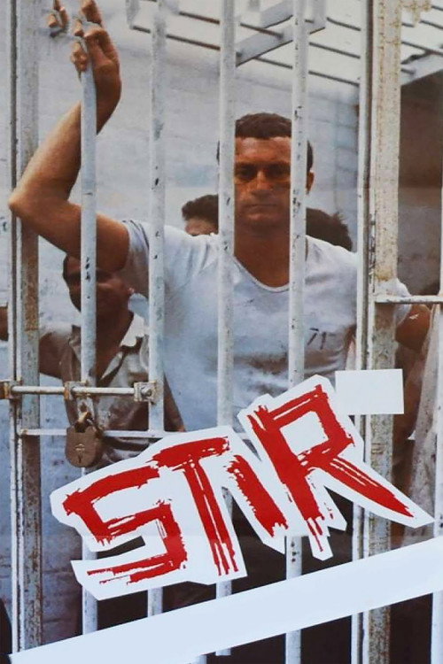 Movie poster for Stir (1980)